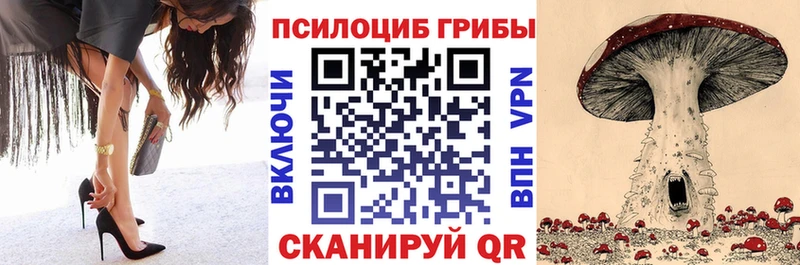Псилоцибиновые грибы Psilocybine cubensis  Дербент 