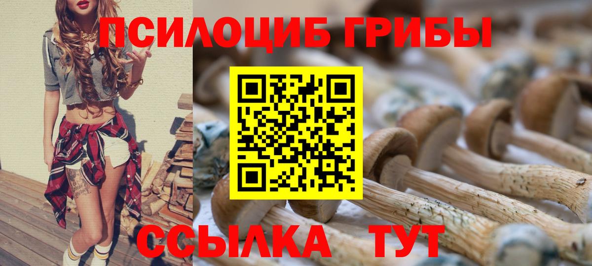 Галлюциногенные грибы мухоморы  Галлюциногенные грибы мицелий  Дербент  Вход с VPN 